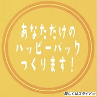 綿貫晴太 様専用ページ | JETRAG 三角公園前店