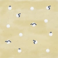 小笠原の子ガメストラップ | Marine life support 