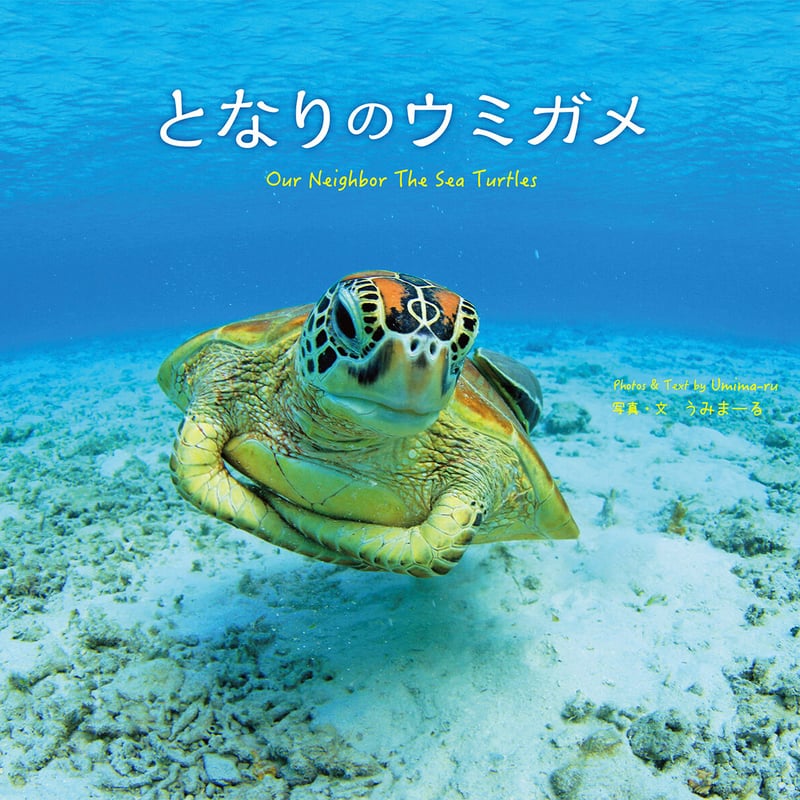 となりのウミガメ | Marine life support 