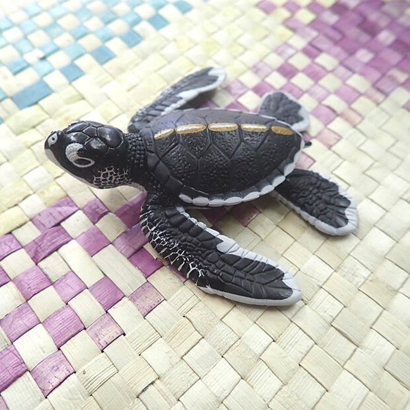 子ガメマグネット | Marine life support 