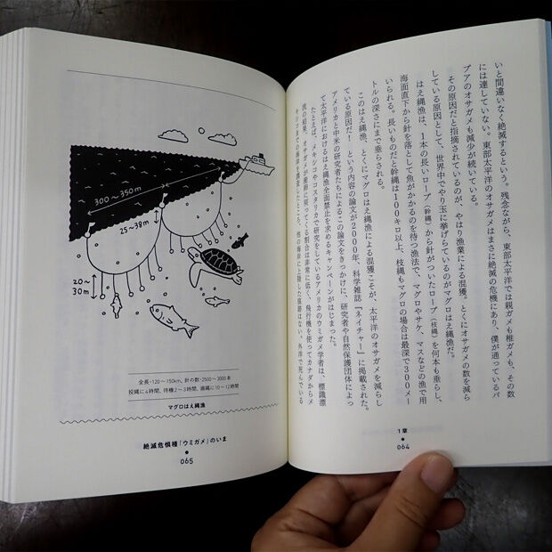 ウミガメは100キロ沖で恋をする | Marine life support 