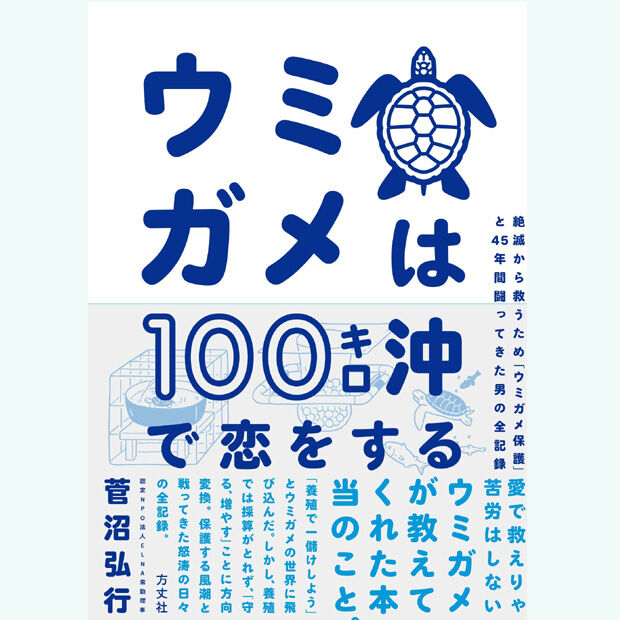 ウミガメは100キロ沖で恋をする | Marine life support 