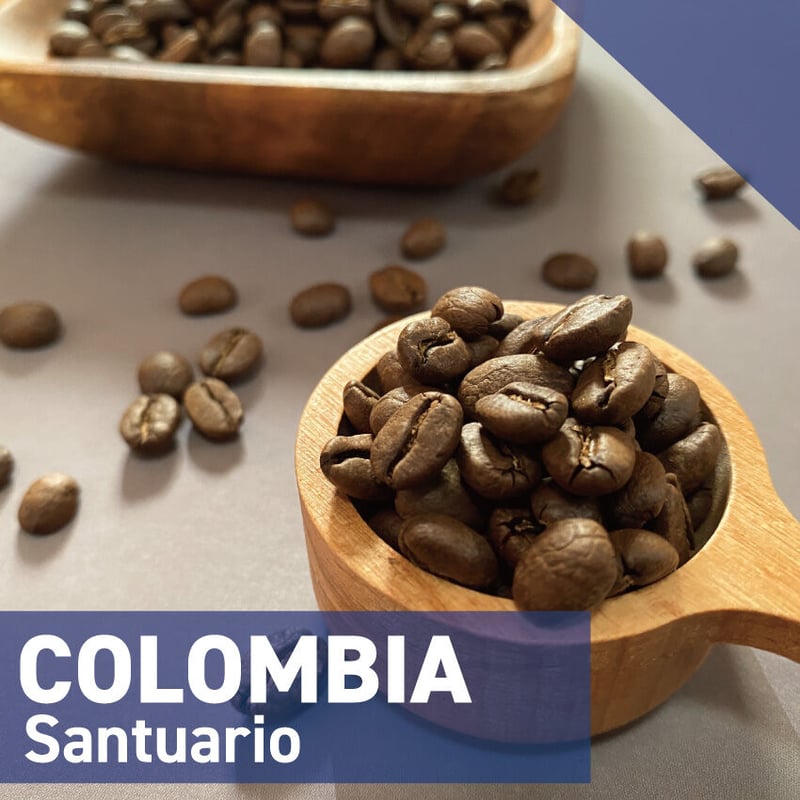 Colombia／コロンビア《中煎り》200g | KajiCoffee Roastery