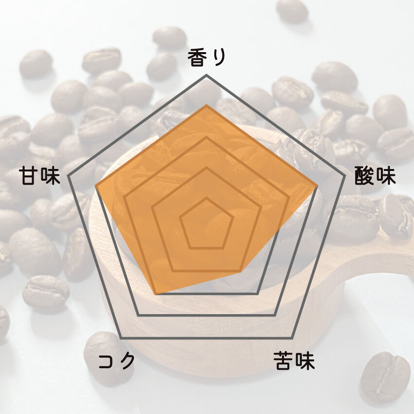 Nicaragua／ニカラグア《中煎り》200g | KajiCoffee Roastery