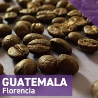 Guatemala／グアテマラ《中深煎り》200g