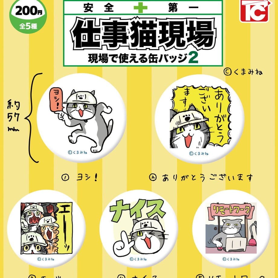 5ff5373d8a45721cca85e62e