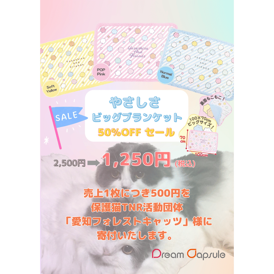 5ff52e75df515969903e9896