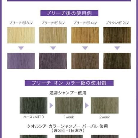 QUALUCIA COLOR SHAMPOO クオルシアカラーシャンプー