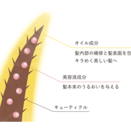 soeff oil in serum ソフ オイルインセラム