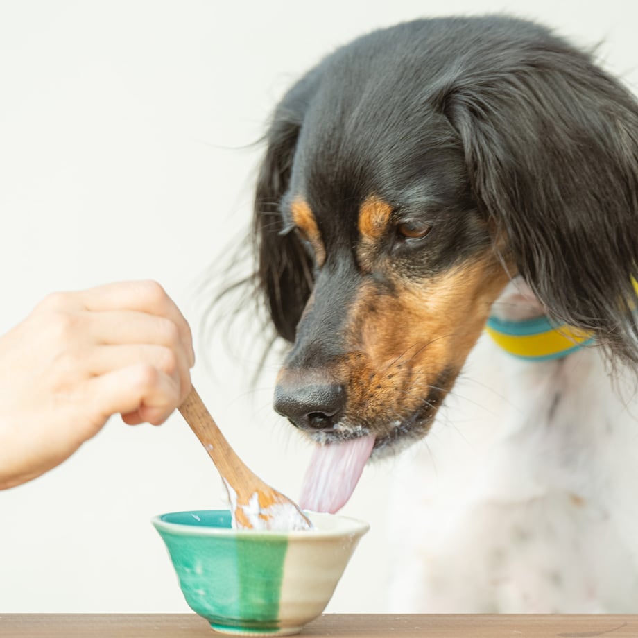 6971c973d5cfeb004e8f69a3