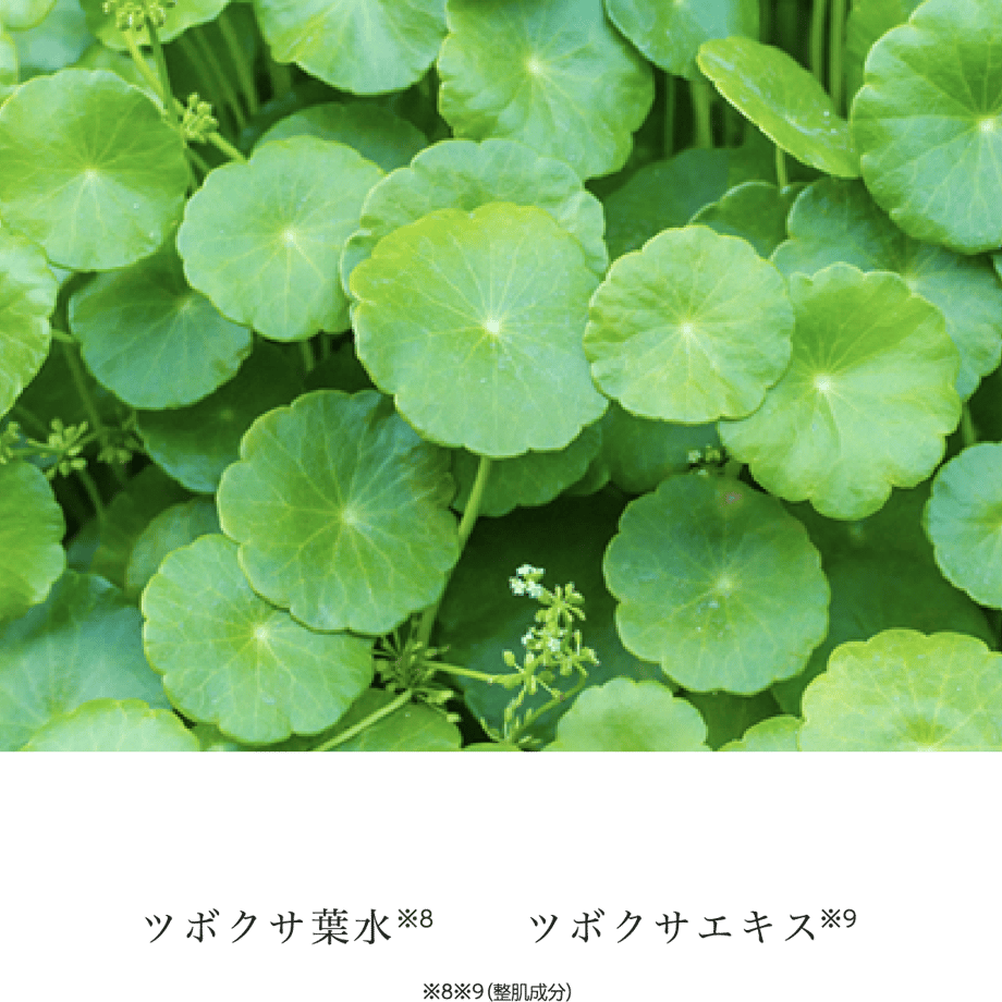 61c967b87398914730ff965c
