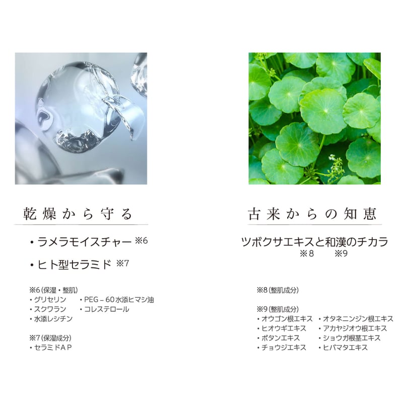 ドックスキンケア ザックパック バランシングトナー ドックスキンケア