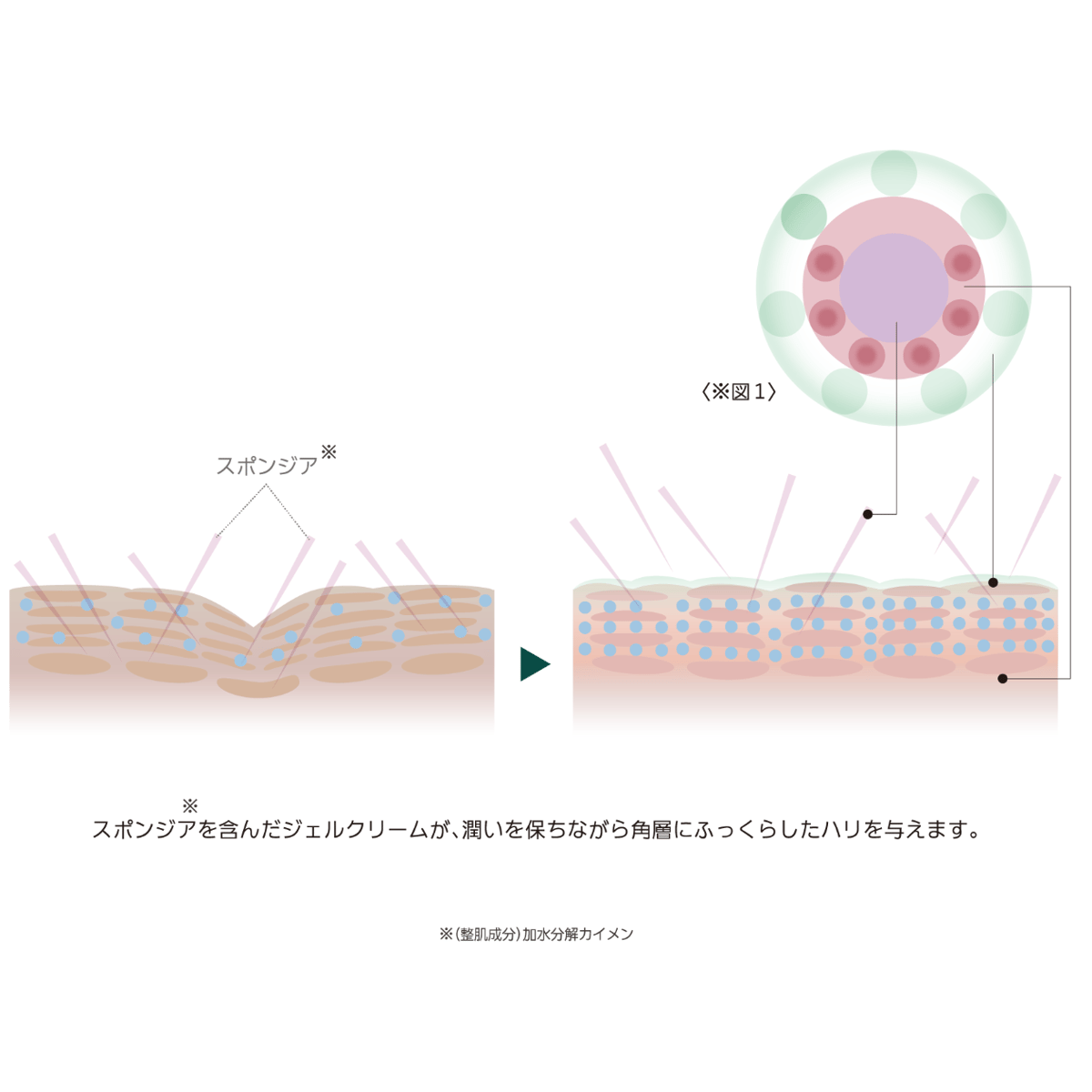 DOC skincare ZAC PACK / ザックパック｜ナイトクリーム | 【ART s...