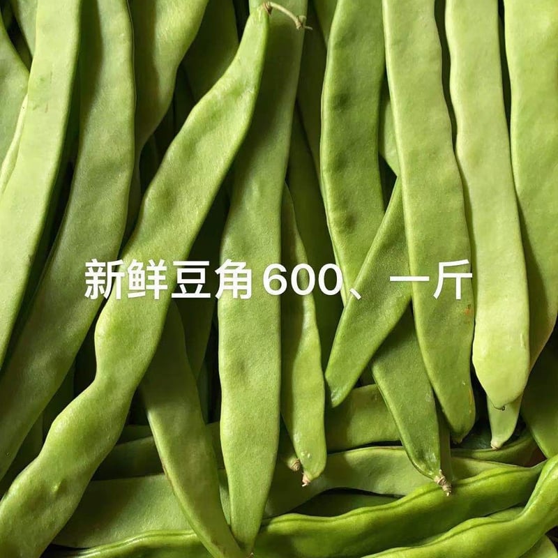 モロッコインゲン 500グラム | おまかせリサイクル（青果福来ストア