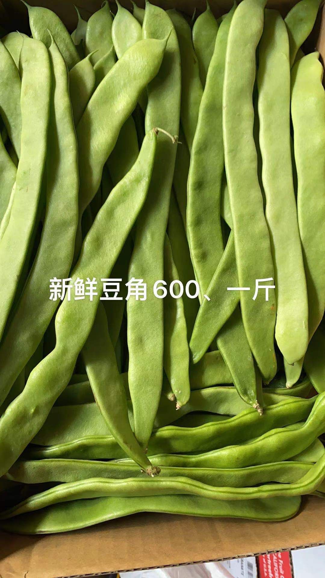 モロッコインゲン 500グラム | おまかせリサイクル（青果福来ストア