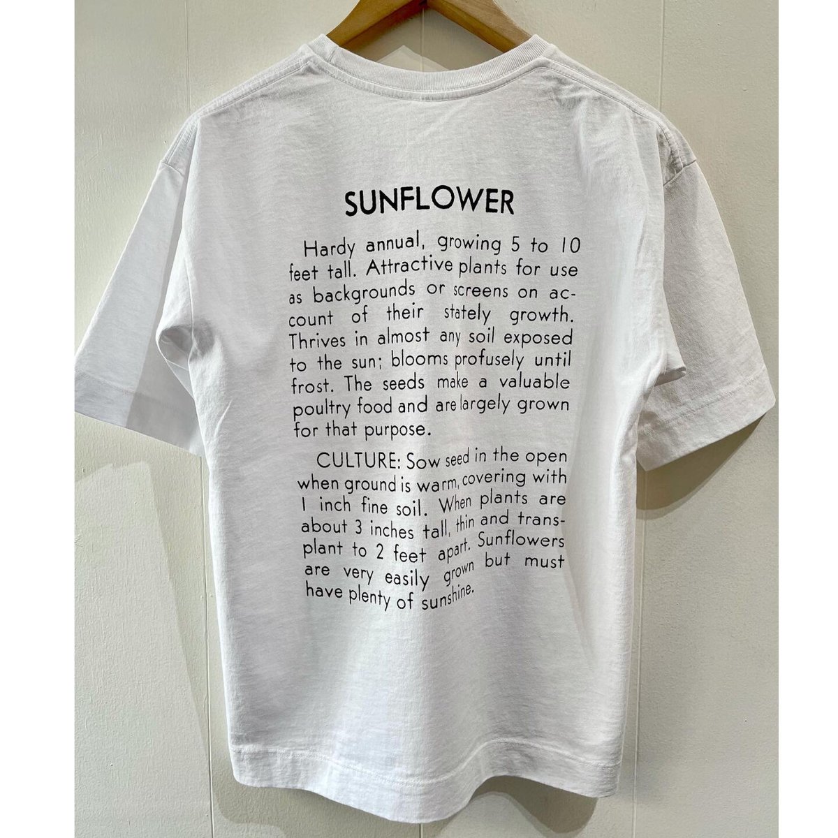 Niche. (ニッチ) USA FLOWER SEEDS TEE SUNFLOWER