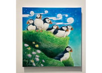 Many Puffins