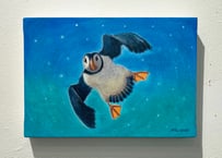 A Puffin