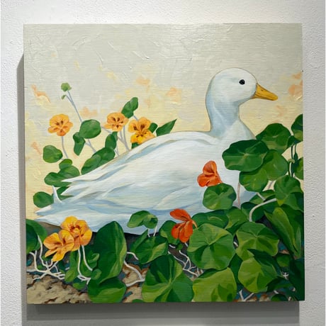 鳥の絵 | STORES