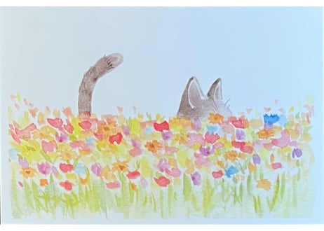 Postcard book (20種セット)