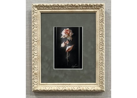 Pink Rose
