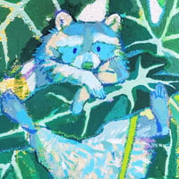 心がアロカシアな青いアライグマ