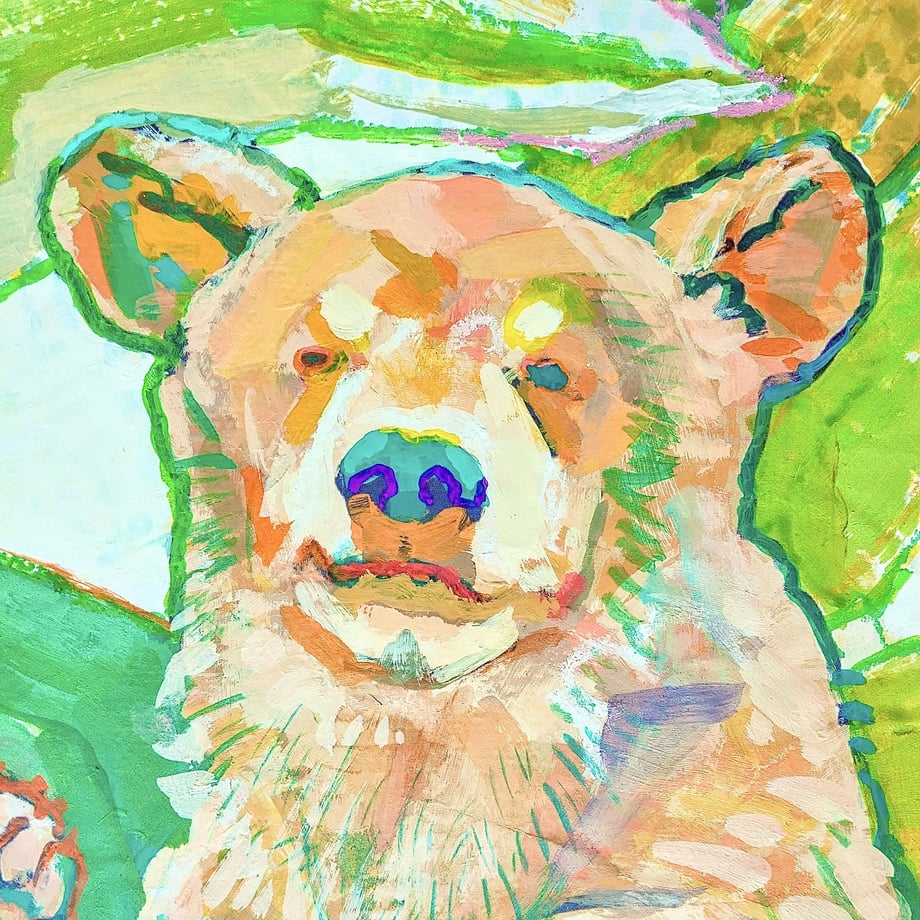 648d461e941bd6007fa25b28
