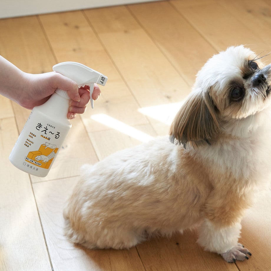 649a9f9d9391c4002fb7be56