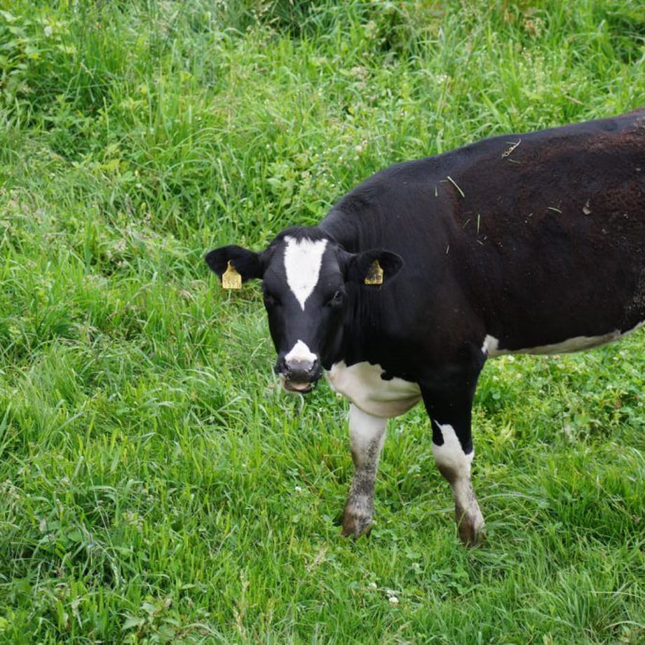 649a9f9d9391c4002fb7be56