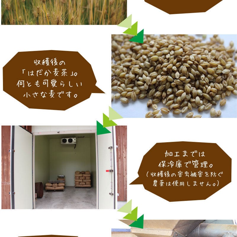 期限26年8月