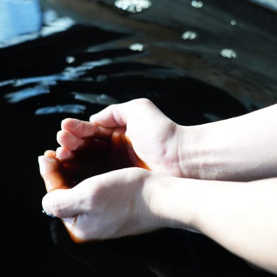 649a9f9d9391c4002fb7be56