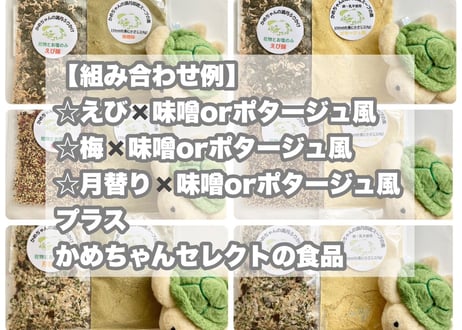 【定期便】かめちゃんの新月ふりかけ1袋・即席スープの素1袋・かめセレクト付きセット