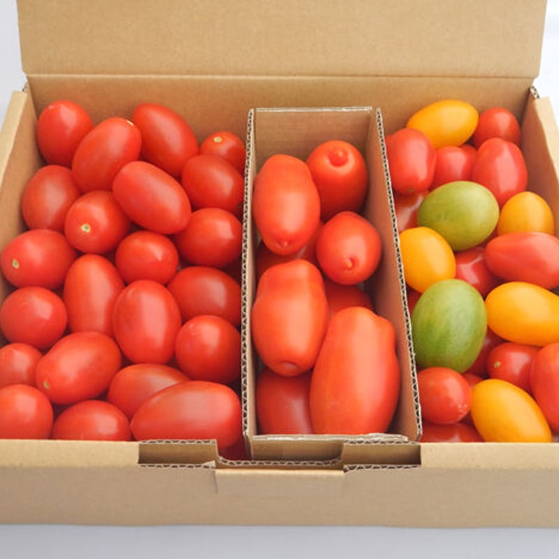 飛騨高山 HASEGAWA～no！（長谷川農園）