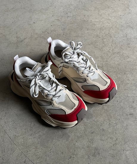 RUGGED MESH DAD SNEAKERS #002 / 2color