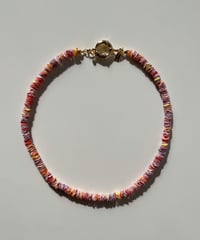 Rainbow shell