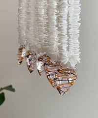 Spiral " Shell