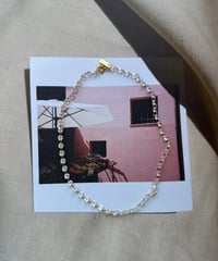 Catcher / choker（club only）