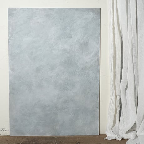 60 MODEL the ash gray