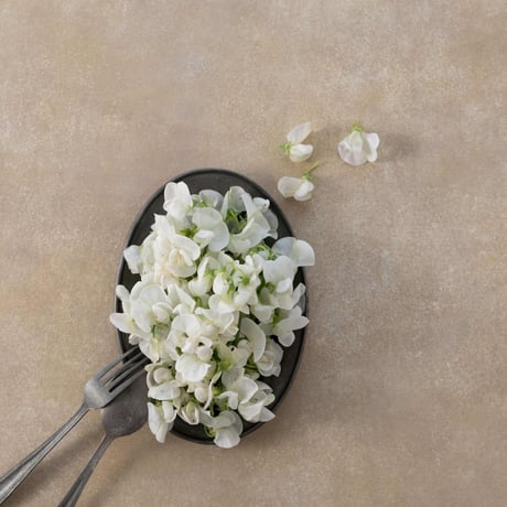 150×90  KOHIKI BEIGE