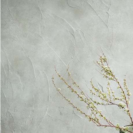 120×120「静かな曇り空」ボタニカルクラウディーグレー