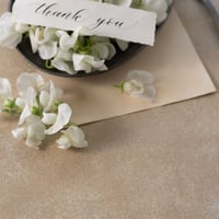 45 KOHIKI BEIGE