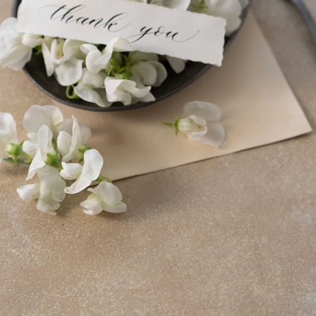 150×90  KOHIKI BEIGE