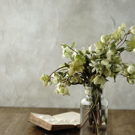 120×120「静かな曇り空」ボタニカルクラウディーグレー