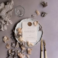 60:スウェードパープルベージュ"Journey第2世代"