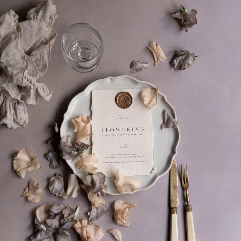 商品撮影用の背景と天板「照らす、背景屋」and,so