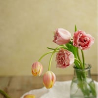 60窓から降り注ぐハッピーイエローシャワー