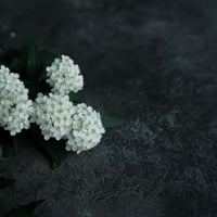 45 UNKAI black