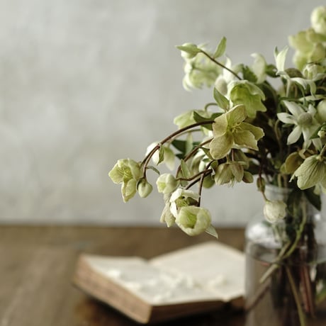 120×120「静かな曇り空」ボタニカルクラウディーグレー