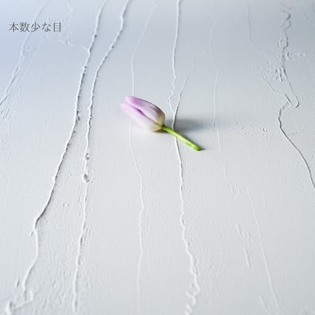 90×90：白い漆喰[SEN]