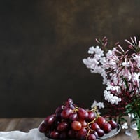 45黄金茶色の木々オータムンアンバー